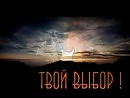 Твой выбор !