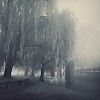 На рассвете дотронься...