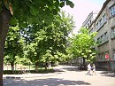 Уголок Ужгорода в летний день.