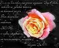 Ты о любви, прошу, молчи...