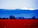 Россия ( В.Круглов и А.Крик)