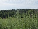 Родные просторы