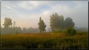 В забытых лугах ......