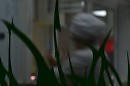 БЕЗ КАМЕНТОВ БЫ НО МОЙ ДРУГ ГОВОРИЛ Я ПИШУ ТЫКВУ КАК БОГА С КАРАВАЕМ ТАК ЭТО ВКУСНО БЫТЬ