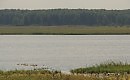 ЕСТЬ ЛЮДИ КОТОРЫЕ ЗВЕРЕЮТ НЕ УБИВАЯ\БЕСЫ НИЖНЕГО АДА\НО БЫСТРО РАЗДЕЛЫВАЮТ ТУШИ И МУТЯТ СИТУАЦИЮ\ИТАК ЕГО ЛАНКРАУЗЕР НАПРОТИВ ТУТ СТАЙ НЕСКОЛЬКИХ ВИДОВ ВОДОПЛАВОЮЩИХ