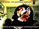 Хи хи хи!!!