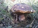 Эй ты, подвинься