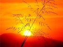 " Если завтра без тебя..."(музыка LIVIN' BLUES, слова Ирины Скибиной) Кавер BLUE BREEZE Исполняет Игорь Рыбалко