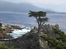 Monterey