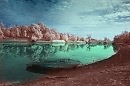 закрытие дачного сезона