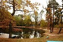 Осень