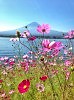 Вулкан Фудзи, Япония