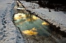 Души прошлых зим