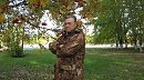 С каждым годом