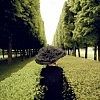 Меланхолия (Greensheet)