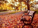 Старый ноябрь