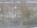 за окошком первый снег