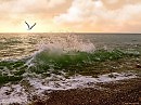 ПРИБОЙ. На стихи Ларисы