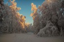 Зимняя сказка