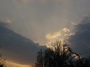В лучах уходящего  солнца.