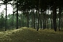 Альбом " На острове"