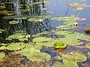 Вот осень краски уронила....
