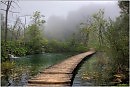 Прости меня, мама
