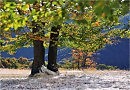 Краски жизни