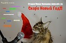 Миша Комаров - Всё не то