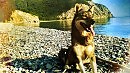 жарко