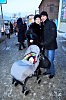 А ВОТ УДАЧНЫЙ СНИМОК СЕМЬЯ ДОБРЯКОВ СЛОВНО НАД КРИМИНАЛОМ КАК БУДТОЕГОИНЕБЫЛОИ НЕТЪ