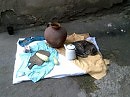практика