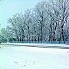 Зимний иней