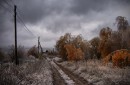Застывшая осень