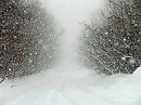 Снег