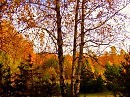 Уральская осень