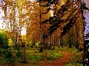 осенней тропой