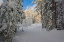 Крутой поворот