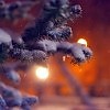 Я сном одним давно живу..