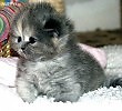 Наша Дуся - Дусенька