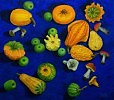 Натюрморт с декоративными тыквами и грибами