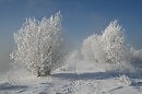 Земля дремала