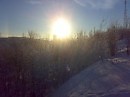 Эфемерность жизни