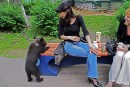 Третьим возьмете?