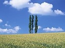 Облако