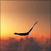 To the cloud