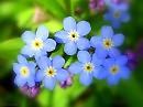 С улыбкой! Олежке Царегородцеву в День Рождения!
