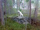 Моя любовь