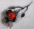 Сила любви