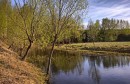 Затончик